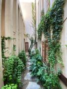 Condominios Punta Morelos