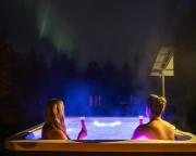 Arctic Clover City Villa