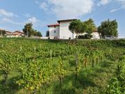 Top Kojsko Top Kojsko