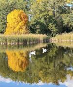 Top Jaworowa Top Jaworowa