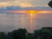 La Pergola del Torchio