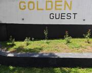 Golden Guest House