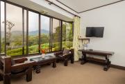 Top Monteverde