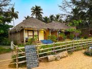 Top Agonda