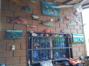 Top El Bobo Top El Bobo