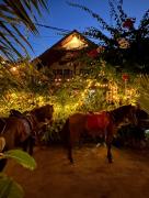 Serenity Luxurious Beachfront Villa & Spa with private Infinity Pool, 8 Guests