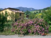 Top Salsomaggiore Terme