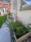 Top Shoreham-by-Sea Top Shoreham-by-Sea