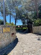 Quinta Dos Amarelos no Meco