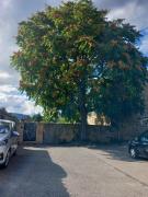 Gîte école des cyclamens