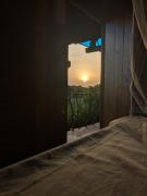 Elegant Elephant Hostel