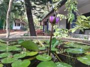 Eco Nature Lodge - Habarana