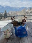 EulenHorst Seeboden Ruhiges Ferienhaus am Millstätter See mit Sonnenterasse & Bergblick