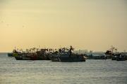 Top Paracas