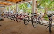 Top Caye Caulker
