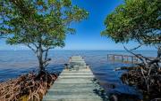 Top Caye Caulker