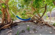 Top Caye Caulker