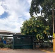 Bees Knees Studio, 5 min to CBD, Adelaide Airport & Henley Beach