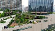 Top Bangkok