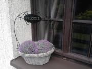 Top Szczytno Top Szczytno