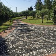 Top Ameglia Top Ameglia