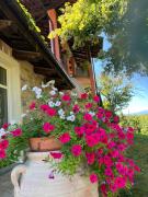 Top Dogliani Top Dogliani