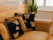 Top Chester Top Chester