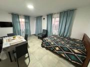 Location appartement meublé 31 m2 Albion