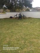 Mesklip Caravan Park