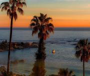 Sunny Sea Point Home