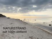 Camping Standard Bungalow Ferienwohnung auf Rügen - bis 5 Personen - nur 100m zum Naturstrand - mitten im Wald - Familien und Hunde herzlich willkommen - Feriensiedlung Schwalbennest