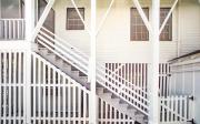 Top Tybee Island