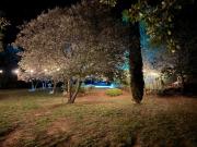 La Bastide des Chênes Lacoste