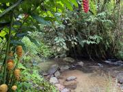 Casa Colibri Chirripó