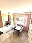 Stylish two-rooms and kitchen apartment 66 m2