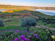 Top Almodóvar del Río