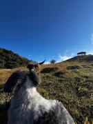 Top Chugchilán
