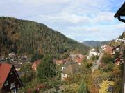 Top Triberg