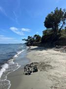 Appartement T2 neuf résidence U Scalu