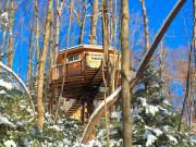 Top Hico