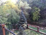 Top Payson