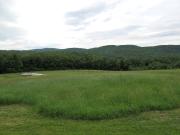 Top Hartland Top Hartland