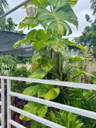 Bamboo Orange Cabana and Studio