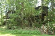 Tree Top Cabin in Crumpler, North Carolina