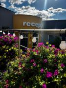 Top Dzierżoniów Top Dzierżoniów