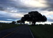 Top Floresville