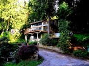 Top Bellingham