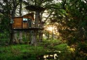 Top Spicewood