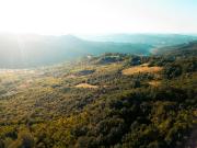 Top San Costantino Albanese Top San Costantino Albanese