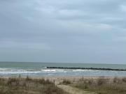 Frontemare